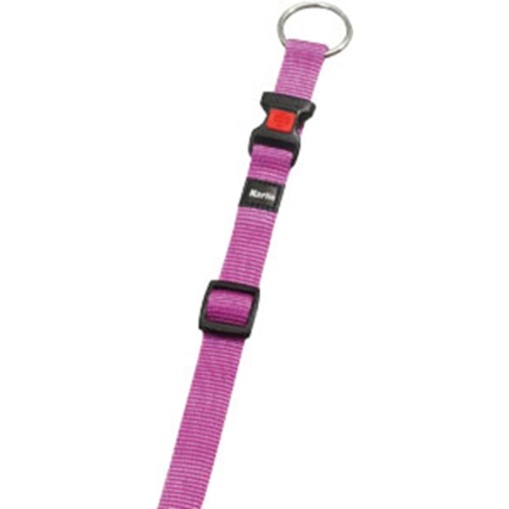 Asp Köpek Boyun Tasması Pembe 40-55Cm 20Mm