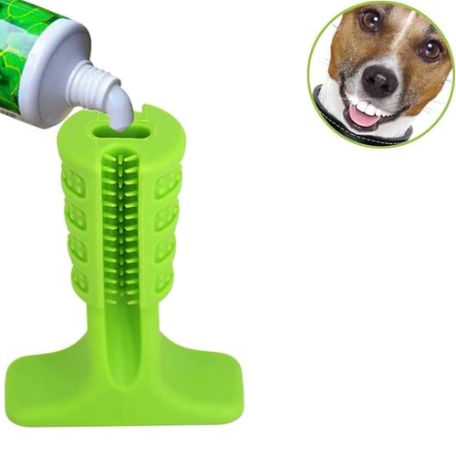 Welfare Köpek Diş Fırçası ve Çiğneme Aparatı 9,5 cm