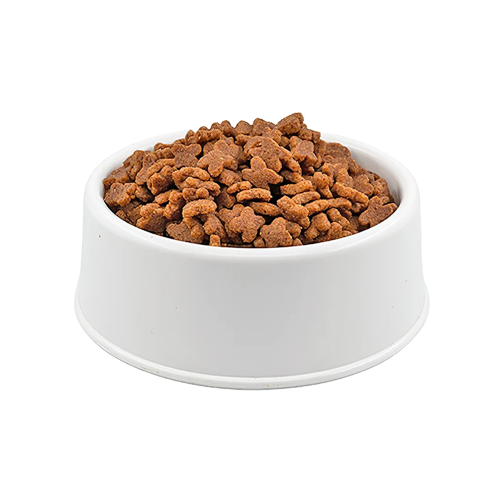 Royal Canin Mini Adult Açık Köpek Maması
